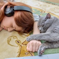 猫があなたの『顔の近くで寝ようとする』ときの理由5つ　どんな気持ちでそばに来るの？応え方のポイントも