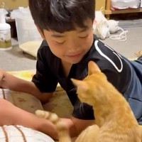 大好きな男の子に『甘える子猫』→予想外の場所でくつろぎ始めて…微笑ましすぎる光景に「幸せが溢れてる」「ふたりとも愛おしい」と反響