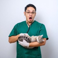 猫がやりかねない『想定外の問題行動』4選　油断できない理由や思わぬ事故の予防策