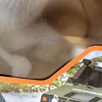 ラジコンカーの箱を見たら→中にいたのは……『まさかの光景』に笑顔になる人が続出「吹いた」「狭さがちょうど良いんだろうねｗ」と1万いいね