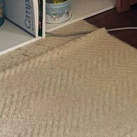 猫の姿が見当たらない→全力で探していると…ようやく発見した『意外な場所』に「すごい馴染んでるｗ」「かくれんぼの達人」と反響