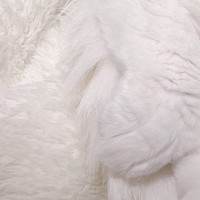 真っ白な毛布の上をよーく見たら、猫が…『まさかの光景』が凄すぎると4万7000いいね「本当に見事」「新しい視力検査みたいな」