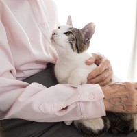 猫にも人にも現れる『老化サイン』4選　年齢を重ねると起こる意外な共通点とは