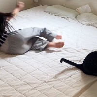女の子が仲良しな猫の前で『倒れるフリ』をした結果…直後の『尊すぎる光景』が45万再生「大好きなのが伝わってくる」「笑顔になったｗ」