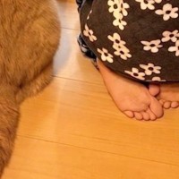 窓の外を眺める女の子と猫→2年半後に『同じ場所』で撮影すると…ほっこりする光景が200万表示「可愛いが増えたｗ」「子供の成長は早い」