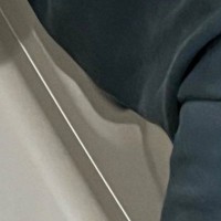 洗ったばかりの『猫用トイレ』→中を見ると、猫が…思わず笑顔になる光景が70万表示「サイズが丁度いいもんねｗ」「ばぶちゃんだ」