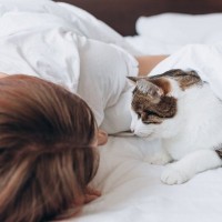 猫は飼い主のことを『どんな存在』だと思っているの？　考えられる3つの心理や気持ちを読み解くヒント