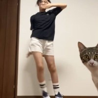 ダンスの練習中、カメラを置いて撮影をしていたら『猫』が近づいてきて…笑ってしまう光景に22万いいね「全部ネコｗ」「意図的だよねｗ」