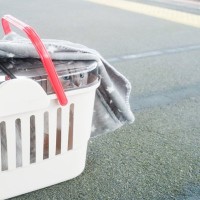 『神経質な猫』に共通しやすい4つの特徴　繊細になるワケや配慮すべきことまで