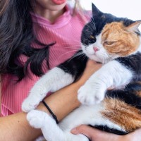 猫が『塩対応』を取りやすい場面3選　急に素っ気なくなる理由や接し方のポイント