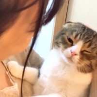 大好きなママが帰ってきて『嬉しくて仕方がない猫』…どこまでも後をついていく『可愛すぎる様子』が31万再生「キュンときた」「超甘えん坊」