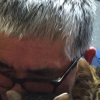 酔っぱらった父に抱きしめられた猫たち…思わず笑ってしまう『表情』に「絶望感が伝わるｗ」「仕方ないニャ」と反響