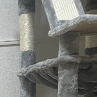 猫のために『豪華なキャットタワー』を用意→遊ぶ姿を楽しみにしていたら…思わず笑ってしまう展開に1万いいね「暑いのかなｗ」「とろけてる」