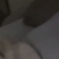 猫がいなくなったと思ったら…『寝室』を覗いてみると→まさかの光景に1万いいね「ちゃんと使いこなしてる」「なでなでしたすぎる」