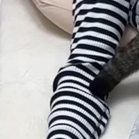 気持ちよさそうに眠るママ→猫たちが集まってきて…127万再生された『まさかの光景』に「幸せだねｗ」「すごい状況で笑った」の声