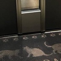 帰宅したら、玄関ドアのガラス越しに『猫』が…思わず笑ってしまう瞬間に「しばらく見ていたくなるね」「可愛すぎて笑った」と12万表示