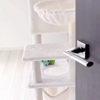 猫がやけに静かだと思い様子を見に行くと、キャットタワーの上で…とんでもなく『可愛い瞬間』が50万再生「たまらんね」「愛おしすぎる」
