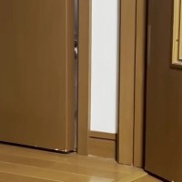 トイレのドアが開いた瞬間、するりと侵入した猫→飼い主がリビングから『名前を呼ぶ』と…可愛すぎる光景に「ワンコみたいｗ」「顔面が可愛い」