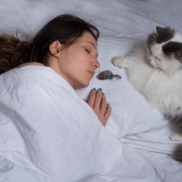 猫が『ありがとう』と伝えているときのサイン4選　よく見られる場面や応え方のポイントも