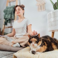 猫と『相性が合う人』に当てはまる特徴5つ　どんな人が好かれるの？理想的な関係を築くコツも