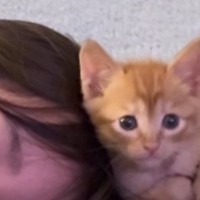 気づけばいつも一緒にいる『娘と子猫』…とんでもなく尊い『日常の光景』が195万再生「ベストパートナー」「くっそー可愛すぎる」