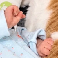 『猫と赤ちゃんが静かだな』と思ったら…思わず笑顔になる『尊い光景』に6万いいね「ママ感がすごいｗ」「赤ちゃんの表情が全てを物語ってる」