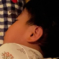 爆睡中の4歳児→すぐ横を見ると、『2匹の猫』が…あまりにも幸せな光景に29万いいね「AIじゃないよね？ｗ」「本当に衝撃的にかわいい」