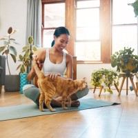 人間もマネしたい『猫の習性や性格』4つ　理想的な考え方や私たちが活かしたいこと