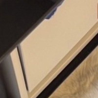 猫が妙に静かだなと思ったら、『家具の下』で…まさかの光景に笑ってしまうと4万いいね「変なとこ好きだねｗ」「油断しすぎｗ」