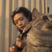 弾き語りをすぐそばで聴く猫…『AIでは？』と疑われるほど微動だにしない様子が142万再生「めっちゃ偽物みたいｗ」「どういう感情ｗ」
