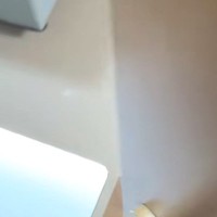 部屋に戻ると、猫が『予想外の場所』に乗っていて…まさかの『お出迎え』が65万再生「よう、相棒って感じｗ」「しんどくなるくらい可愛い」