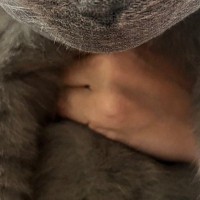 『爪切りが苦手な猫』→排水溝ネットを被せたら…笑ってしまう光景が132万表示「変なぬいぐるみかと思ったｗ」「逃げたほうがいいかも」