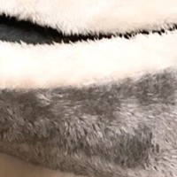 二枚貝のような形の猫用ベッドで『くつろぐ猫』を見たら…思わず笑顔になる光景に1万いいね「食べられないハマグリ」「笑ったｗ」