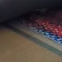 初めてのお留守番をした子猫→飼い主が帰宅すると…思わず涙が出る『尊い光景』が47万再生「偉かったねぇ」「泣けちゃうのわかる」