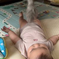 しっぽを器用に動かして『赤ちゃんと遊んであげる猫』…驚きの光景に「ちゃんと反応を見て動かしてるの凄い」「面倒見が良すぎる」と23万再生