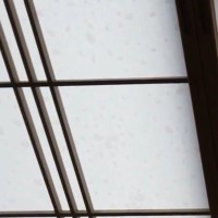 障子をきれいに貼り替えた翌朝、和室に向かうと…思わず笑ってしまう光景が13万再生「すごく微笑ましいｗ」「期待を裏切らない」