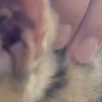 お迎えしたばかりの保護子猫→わずか1時間後、膝の上で見せた『まさかの様子』に「すごいｗｗ」「賢いからわかるんだよね」と80万表示