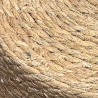 床に置かれたカゴの中に猫が入り込んだ結果…思わず笑顔になる光景に「なんかもう可愛いｗ」「新型のお掃除ロボットかな」の声