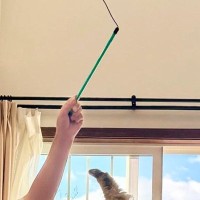 家に来て3日目の子猫→おもちゃで遊んでいるところを撮ったら…幸せあふれる光景に「めっちゃいい瞬間！」「躍動感ありすぎ」と43万表示