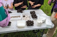 上板橋駅前をみんなで育てる「かみいたねプロジェクト」タネ植えイベント開催（板橋区）