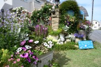 花結会が紡ぐやさしい庭時間 埼玉県北本市で11回目のオープンガーデン2026開催