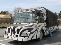 かわいくってどうしよう！GWの「富士サファリパーク」ライオンの赤ちゃんに会えるチャンスも！