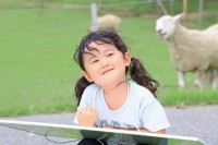 芸術の秋はマザー牧場へ 小学生無料で参加できる写生大会が開催