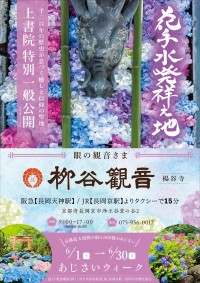 京都最大級!約5000株のあじさいが咲き誇る「柳谷観音あじさいウイーク」6/1から6/30まで開催