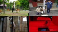 ＜イベントレポート＞盛岡市動物公園ZOOMOで「ZOOMO 動物たちの身体測定2024」実施