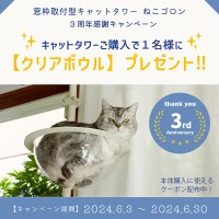 窓枠に取り付けができるキャットタワー「ねこゴロン」購入者限定プレゼントキャンペーンを6月3日に開催