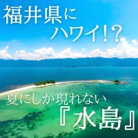 福井県の無人島「水島」へのフェリー運航開始