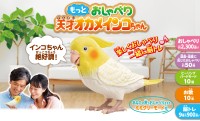 インコの日に「もっとおしゃべり天才オカメインコちゃん」発売