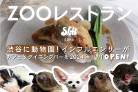 新感覚！「ZOOレストラン」がクラウドファンディングで先行予約開始