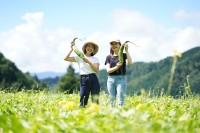 株式会社ネオナチュラルの新リトリート施設「ホーリーファンガス」がオープン！「夏の女子旅応援／善玉菌リトリート体験キャンペーン」を開始